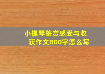 小提琴鉴赏感受与收获作文800字怎么写