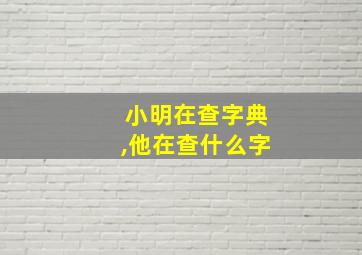 小明在查字典,他在查什么字