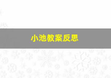 小池教案反思