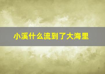 小溪什么流到了大海里