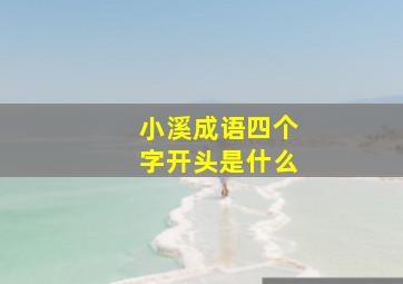 小溪成语四个字开头是什么