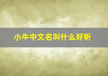 小牛中文名叫什么好听