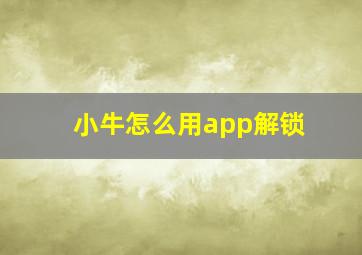 小牛怎么用app解锁