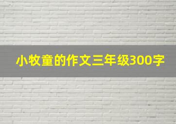 小牧童的作文三年级300字