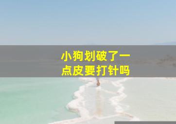 小狗划破了一点皮要打针吗