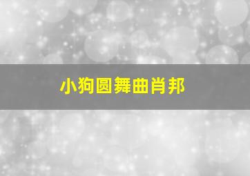 小狗圆舞曲肖邦