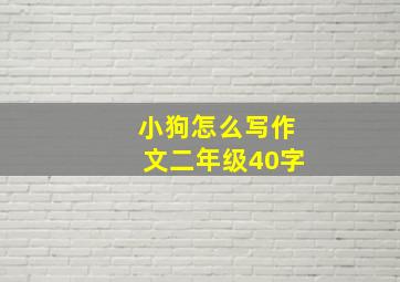 小狗怎么写作文二年级40字