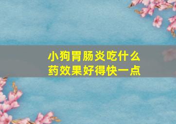 小狗胃肠炎吃什么药效果好得快一点