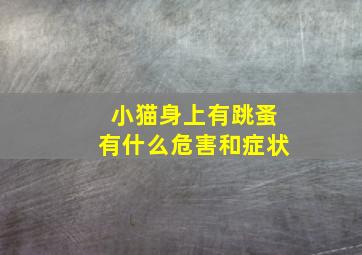 小猫身上有跳蚤有什么危害和症状