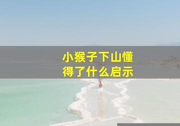 小猴子下山懂得了什么启示