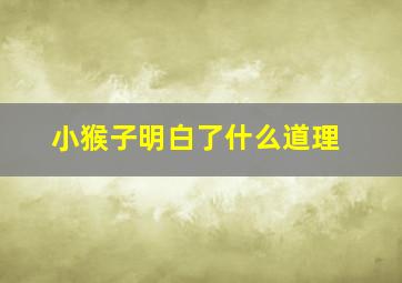 小猴子明白了什么道理