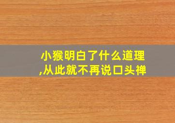 小猴明白了什么道理,从此就不再说口头禅