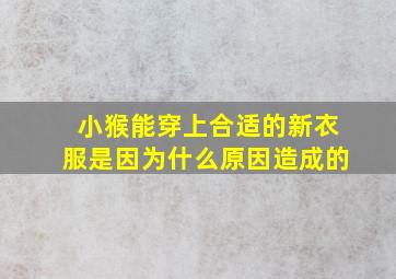 小猴能穿上合适的新衣服是因为什么原因造成的