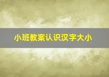 小班教案认识汉字大小