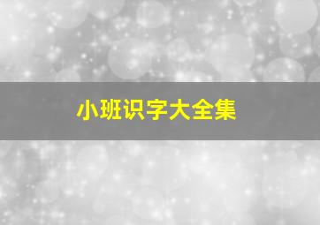 小班识字大全集