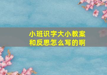 小班识字大小教案和反思怎么写的啊