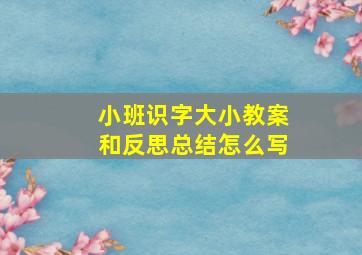 小班识字大小教案和反思总结怎么写