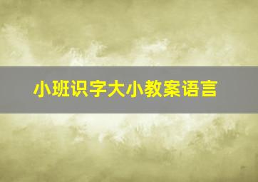 小班识字大小教案语言