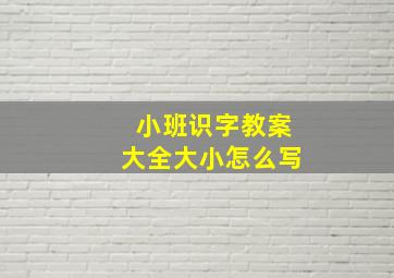 小班识字教案大全大小怎么写