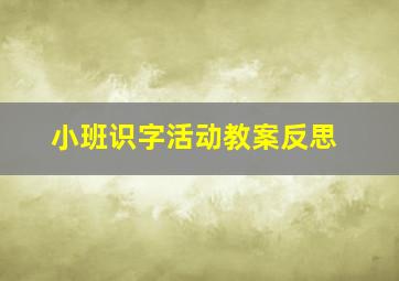 小班识字活动教案反思