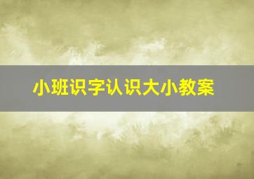 小班识字认识大小教案