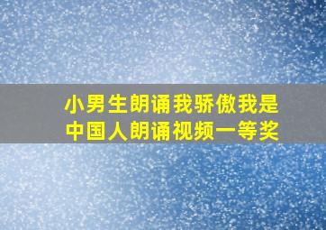 小男生朗诵我骄傲我是中国人朗诵视频一等奖