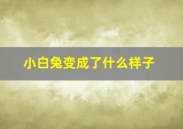 小白兔变成了什么样子