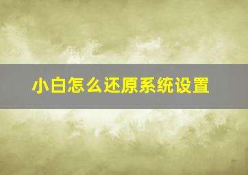 小白怎么还原系统设置