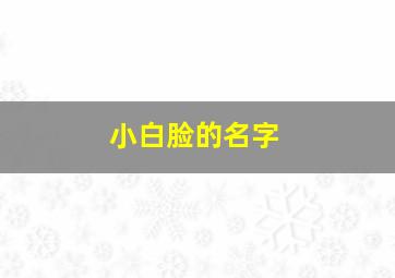 小白脸的名字