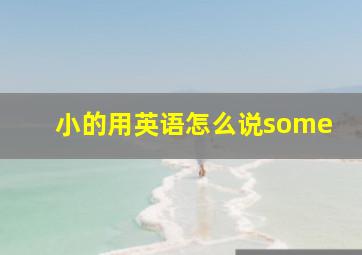 小的用英语怎么说some