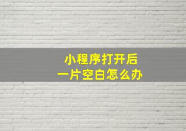 小程序打开后一片空白怎么办