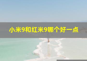 小米9和红米9哪个好一点