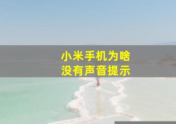 小米手机为啥没有声音提示