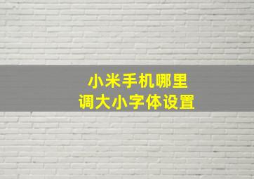 小米手机哪里调大小字体设置