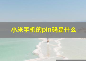 小米手机的pin码是什么