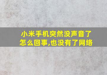 小米手机突然没声音了怎么回事,也没有了网络