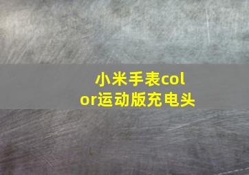 小米手表color运动版充电头