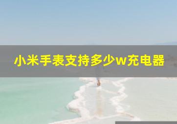 小米手表支持多少w充电器