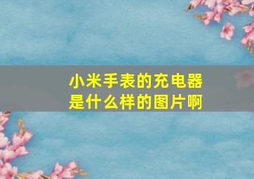 小米手表的充电器是什么样的图片啊