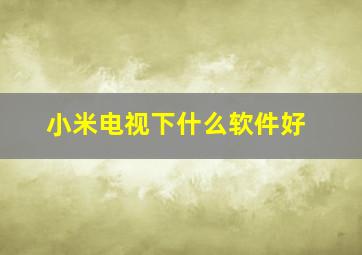 小米电视下什么软件好