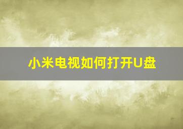 小米电视如何打开U盘