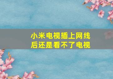 小米电视插上网线后还是看不了电视