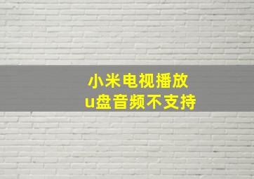 小米电视播放u盘音频不支持