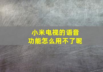 小米电视的语音功能怎么用不了呢