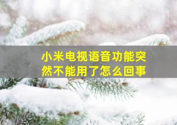 小米电视语音功能突然不能用了怎么回事