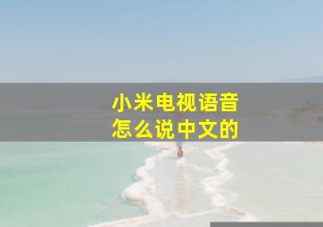 小米电视语音怎么说中文的