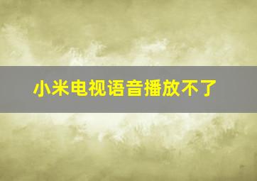 小米电视语音播放不了