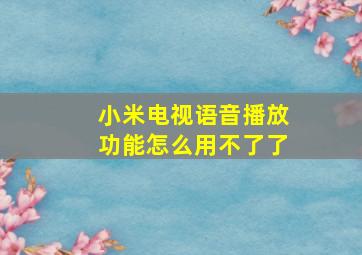 小米电视语音播放功能怎么用不了了