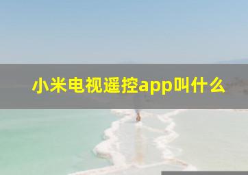 小米电视遥控app叫什么