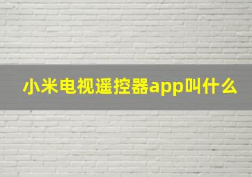 小米电视遥控器app叫什么